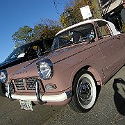 Herald 018